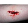 One Day Introduction to Prosthetic Makeup Course Leeds